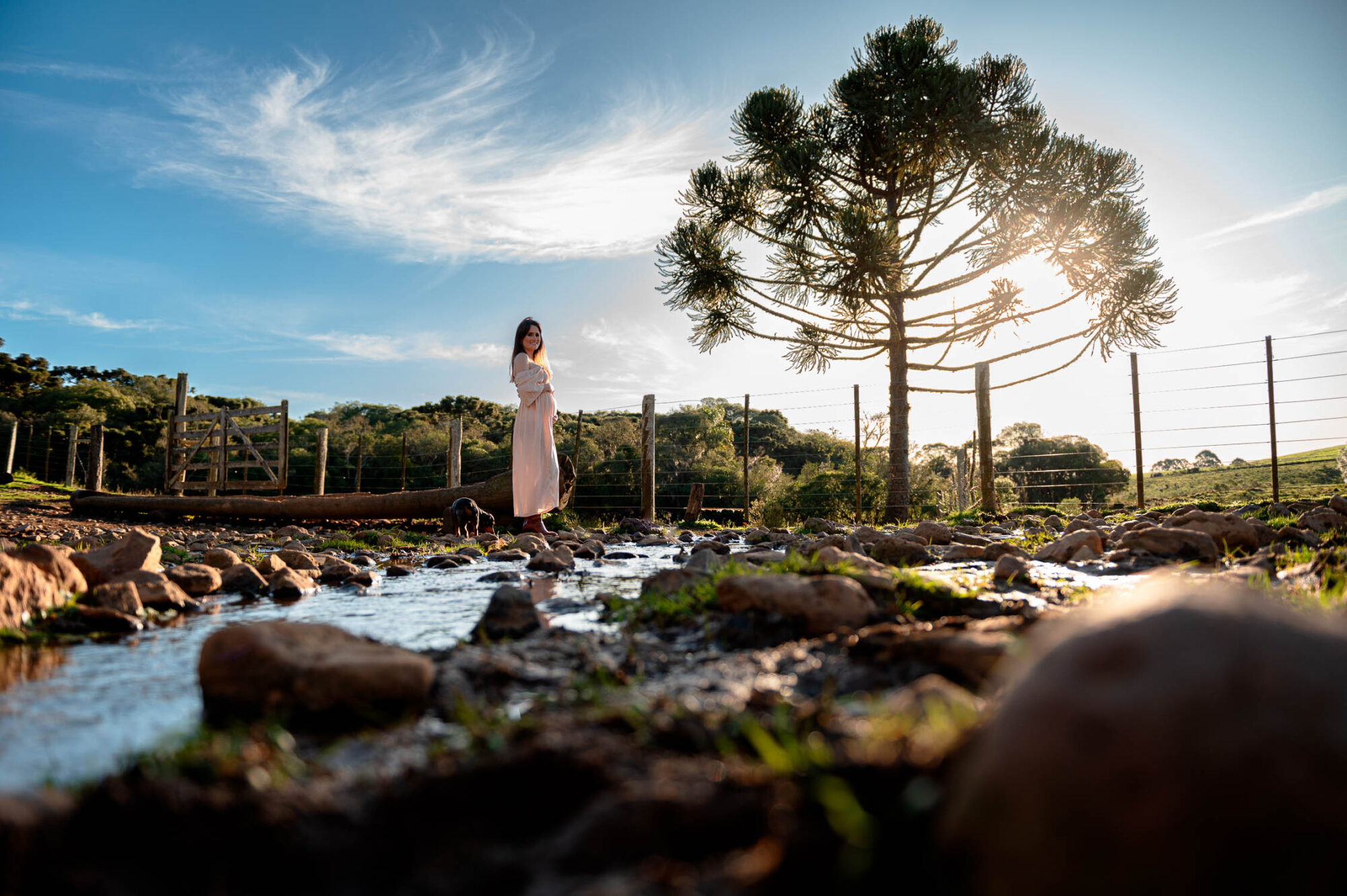 Paulo Santos Fotografia